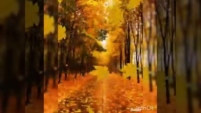 Праздник осени в лесу Муз.рук. Төлөйканова Ж.Б. смотреть онлайн