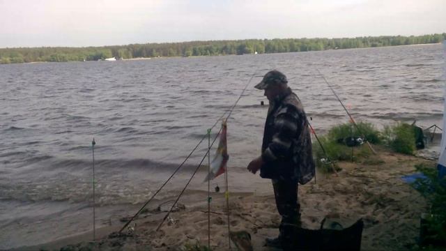 Волга, Конаково, рыбалка по ветру. 25.05.2019 смотреть онлайн