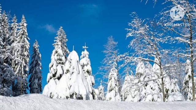 Дама по вызову. Истории из жизни. Жизненные истории. смотреть онлайн