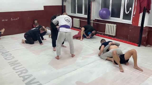 Наша борьба BJJ 15.02.2022