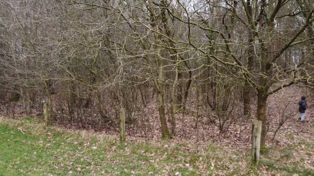 BOS 2 смотреть онлайн