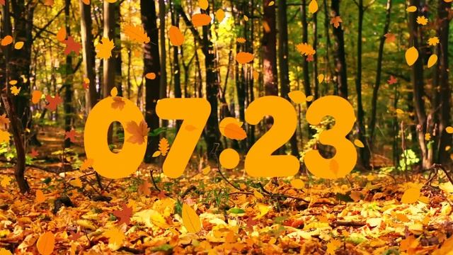 15 Minute Beautiful Fall Leaves Countdown | ? смотреть онлайн