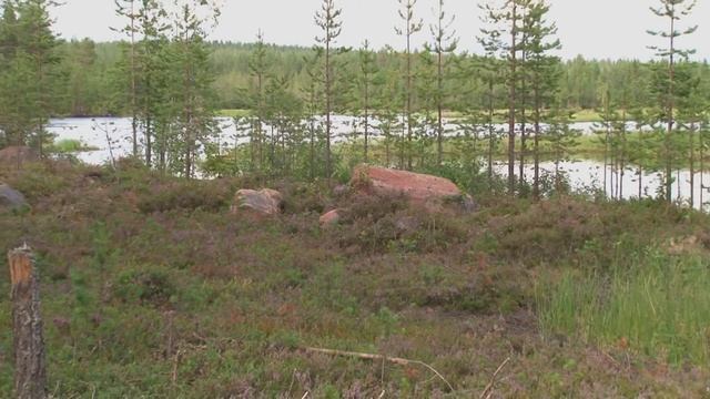 Salla in Finland смотреть онлайн