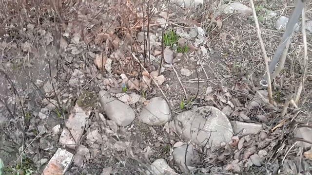 ПЕРВОМАЙ НА ДАЧЕ | ДЕШЁВАЯ ВЫШИВКА КРЕСТИКОМ ПО КОНТУРАМ | Пермский Влог 184 смотреть онлайн