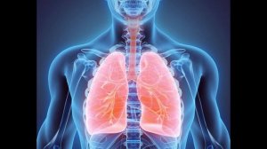 Окружающий мир 3 класс ч.1, тема урока "Дыхание и кровообращение", с.144-146, Школа России.