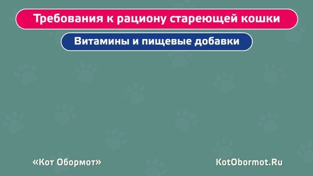 Особенности кормления пожилых кошек смотреть онлайн