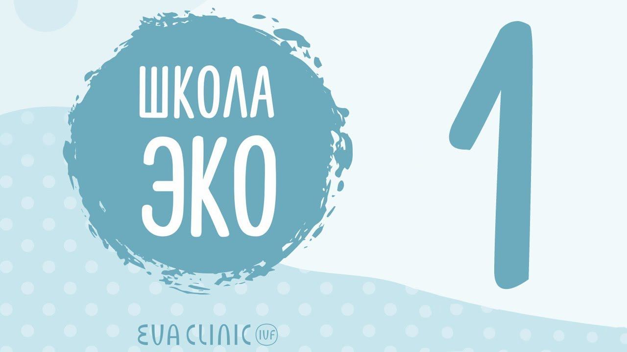 Про ЭКО от Елены Новиковой, про EVACLINIC IVF от Андрея Пекурова - Школа ЭКО #1