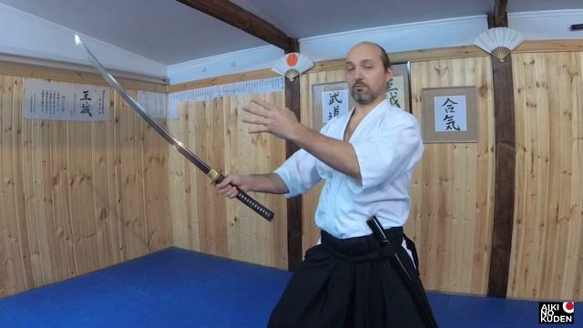 АЙКИДО - ПЛОД КЕНДЗЮЦУ AIKIDO - FRUIT OF KENJUTSU смотреть онлайн