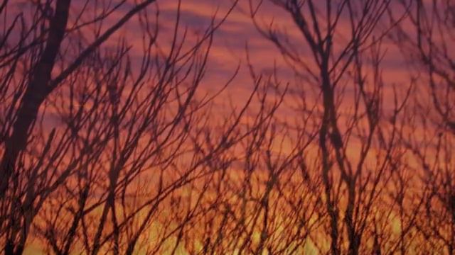 Brand New Day: Van Morrison. Moondance, 1970. смотреть онлайн