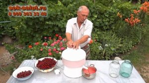 Натуральный вишневый сок с соковыжималкой «Салют»