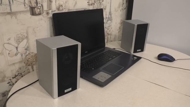 ПОЧЕМУ КОЛОНКИ "ПРЕДСКАЗЫВАЛИ" ВХОДЯЩИЕ ЗВОНКИ смотреть онлайн