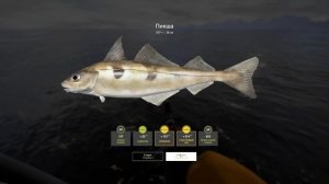 Как ловить на оснастку ОБЕЗЬЯНКА ? • Норвежское море Камбала и Тюрбо • Русская Рыбалка 4