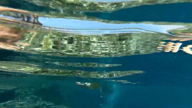 swim 2 El fanar beach Sharm el sheikh coral sea