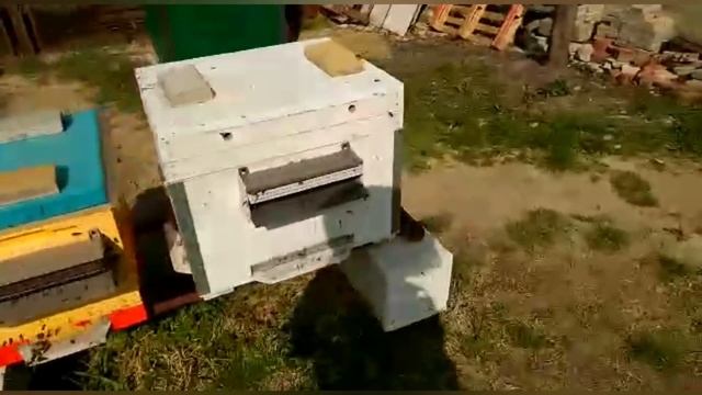 Сколько служит Пеноулик#пчеловодство#пасека#пчёлы#ульи#изоляцияматок#изолятор#малыхин#миленин#весна смотреть онлайн