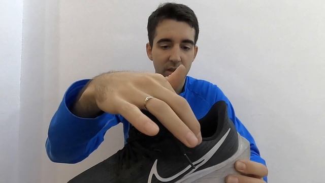 Обзор NIKE PEGASUS 39 беговых кроссовок ПОСЛЕ 300КМ ? | Pedro Vizuete смотреть онлайн