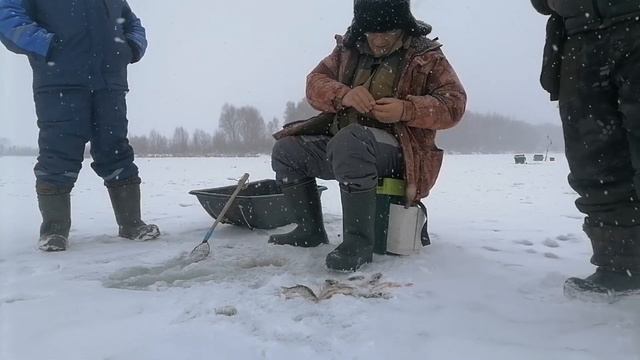 Попали на бешеный клев, Рыбалка в курской области. смотреть онлайн