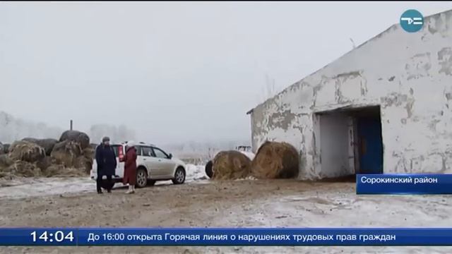 Агрофраншиза в Сорокино смотреть онлайн