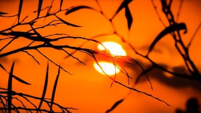 Хуан Рамон Хименес. Я не вернусь... смотреть онлайн