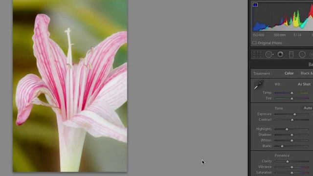 สอน Lightroom 5.7 ตอนที่ 2 ตกแต่งภาพเตรียมโพสต์ смотреть онлайн
