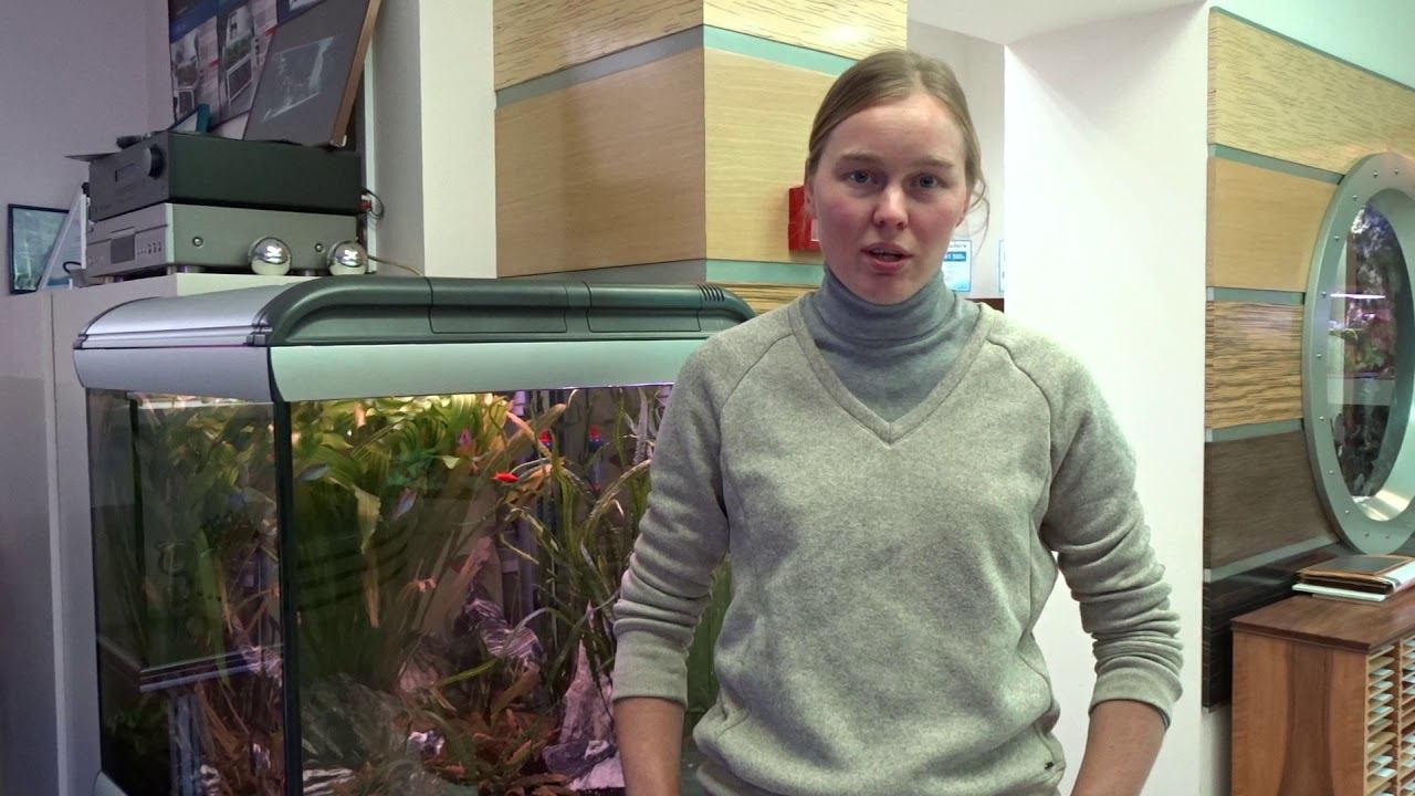 Чёрные #макроподы смотреть онлайн