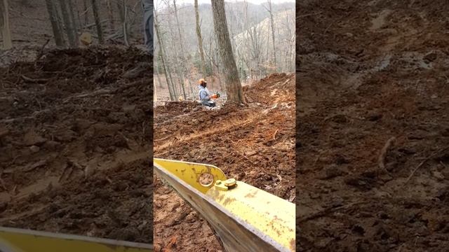 Cutting timber with a stihl 461 смотреть онлайн