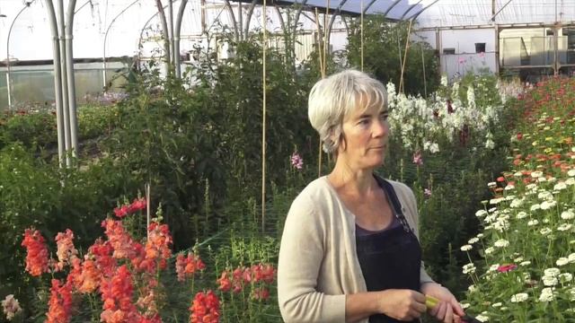 Growing to Scale with Rachel Siegfried of Green & Gorgeous | Flower Farmers' Big Weekend 2020 смотреть онлайн
