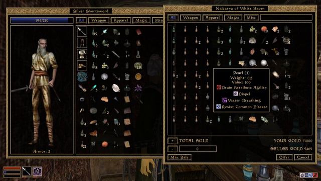Morrowind ~ Telvanni Master Wizard #003 смотреть онлайн