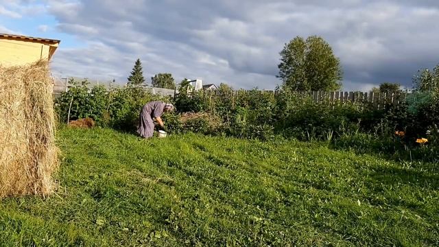 Жара или холод...все равно #ТорговляНаТрассе смотреть онлайн