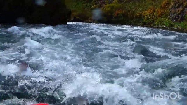 Камчатка рыбалка на реке Опала. смотреть онлайн