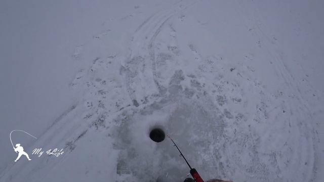 Первая рыбалка 2023 г. РУЗА, безмотылка, вибы, балансир, поплавок)))