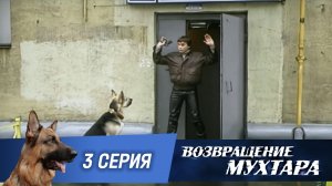 «Возвращение Мухтара»: «Ограбление по…» (1 сезон. 3 серия)