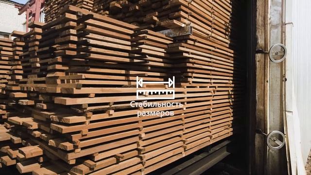 Презентация | Стандарт Термодерево смотреть онлайн