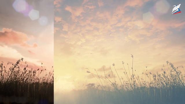 Сбор дикорастущих растений смотреть онлайн