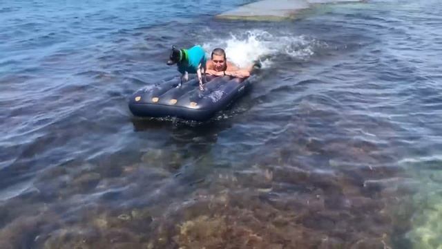 На Чёрное Море Дикарями на Машине в Автокемпинг, Приехали и Обалдели Сколько Людей Кемпинг Радужный смотреть онлайн