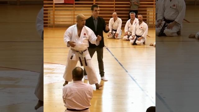 Izumiya JKA Karate in Poland 2017, Shotokan Kyokai Berlin Video #JKA #Karate смотреть онлайн