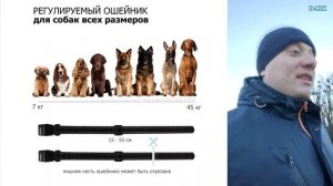Электрический ошейник для собак вам не нужен! Почему я не рекомендую покупать электронный ошейник