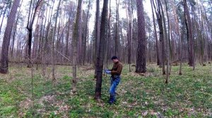 Гаффы   тест подъёма на дерево