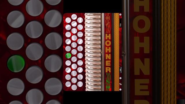 Beginning Warm-up and Exercises for Diatonic Accordion смотреть онлайн
