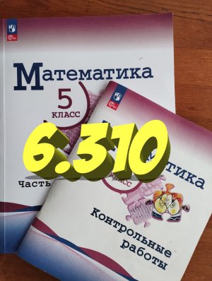 математика 5 класс номер 6.310