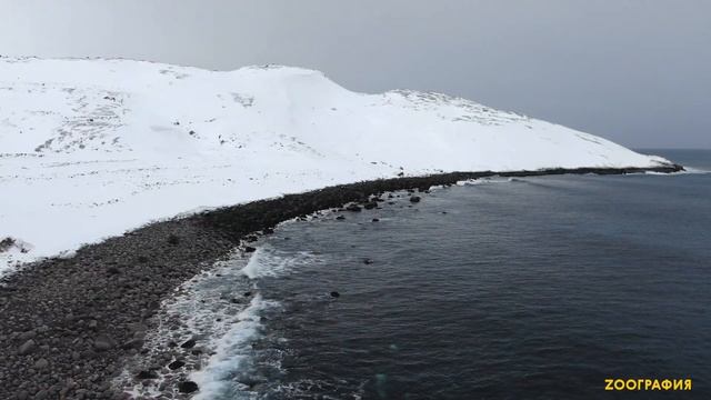 Пляжи Баренцева моря смотреть онлайн