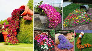 52+ красивых цветочных водопада в палисаднике