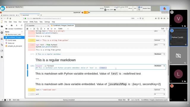 ComBINeS Meetup - Polyglot (Data)Science with ease by Dr. Nandor Poka смотреть онлайн