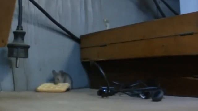 Если долго мучиться, что нибудь получится смотреть онлайн