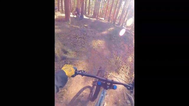 Pohorje secret trails - Scott gambler 920 смотреть онлайн