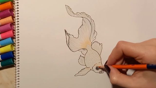 как нарисовать золотую рыбку | how to draw a fish смотреть онлайн