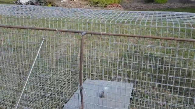 ЖИВОЛОВКА НА ЛАСКУ, КУНИЦУ, КРОЛИКА, ЛИСУ, ЗАЙЦА. смотреть онлайн