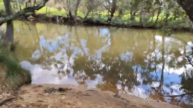 LIVE FISHING STREAM FISHING TECHNIQUES #lures #reels #rods #knots смотреть онлайн