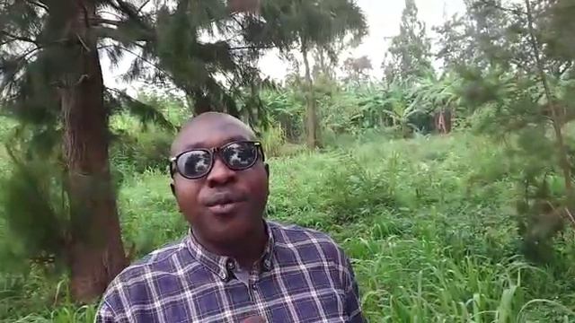 Ingoma ya KIGELI III Ndabarasa || Nyirabiyoro amuragurira amaherezo y' ingoma Nyiginya смотреть онлайн