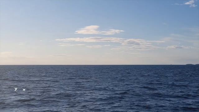 ПРОГУЛКА С ДЕЛЬФИНАМИ | Закат в открытом море | Отдых в Хорватии смотреть онлайн
