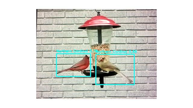 A Kickstarter Project We Love: Vizy Your Little AI Camera Minion смотреть онлайн